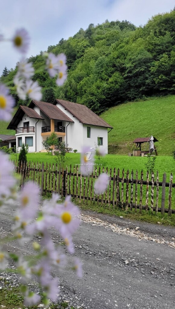 Cabana Valea Muntelui