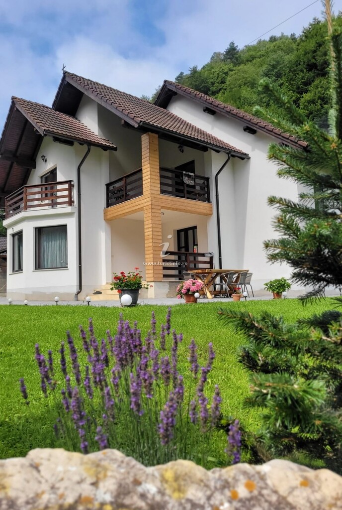 Cabana Valea Muntelui