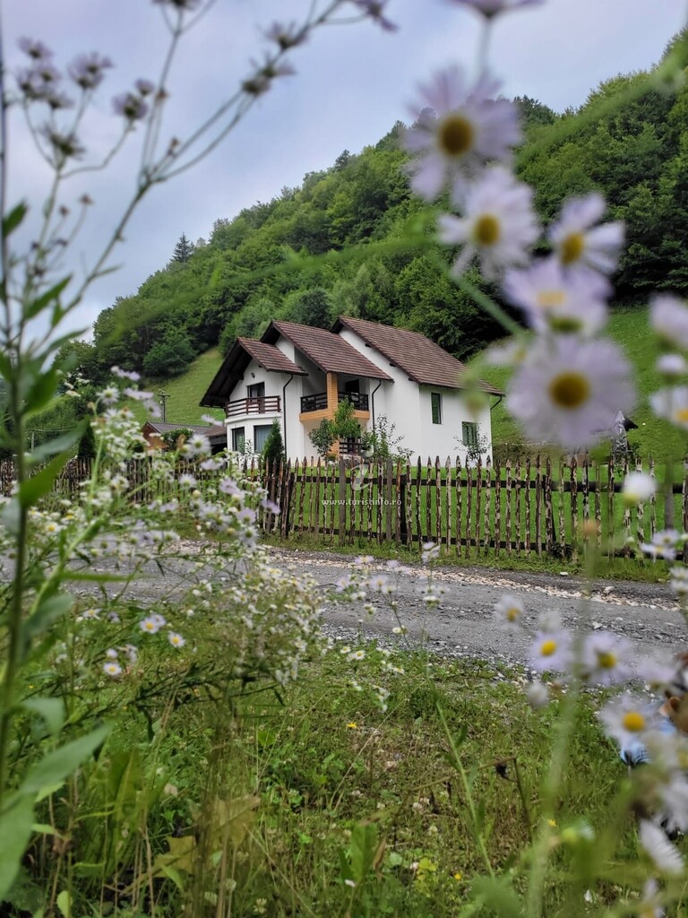 Cabana Valea Muntelui