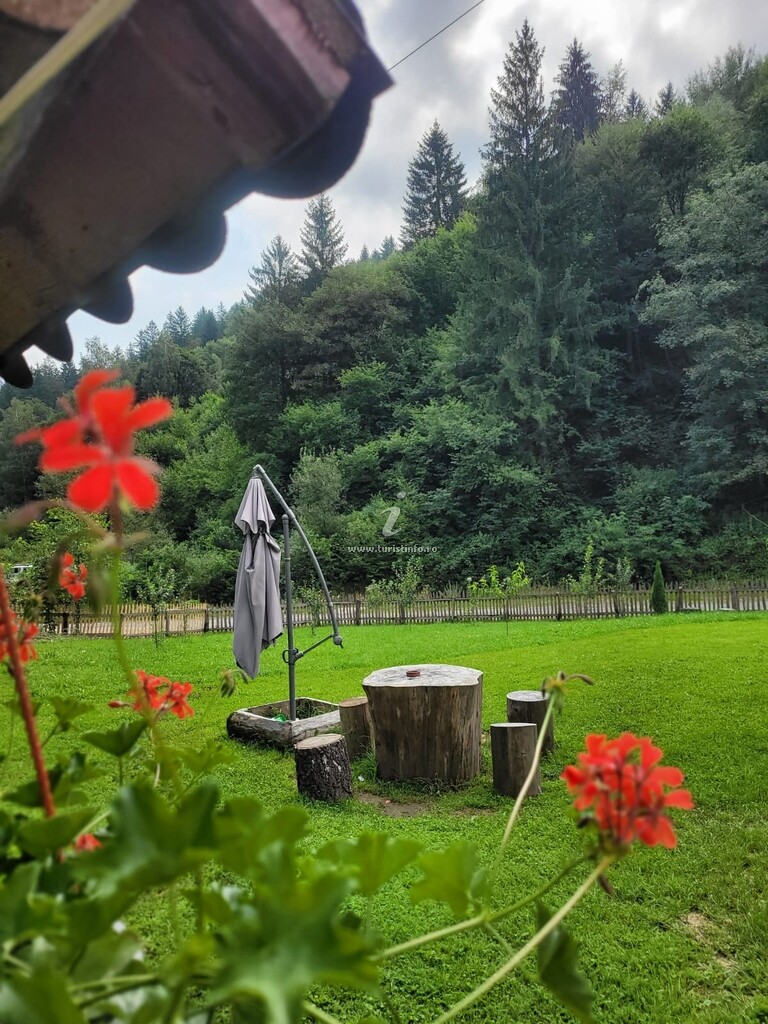 Cabana Valea Muntelui