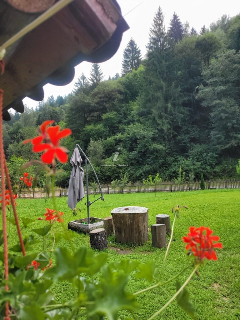 Cabana Valea Muntelui