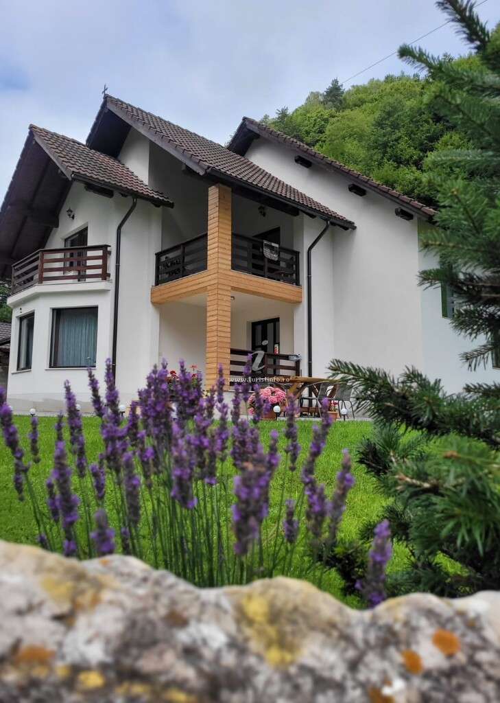 Cabana Valea Muntelui