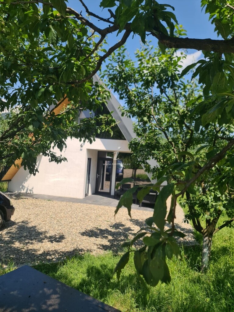 A-frame The House