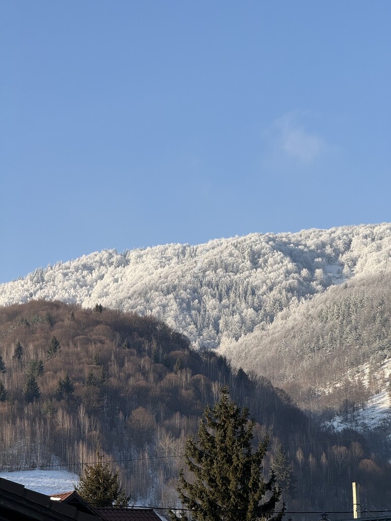 Pensiunea Dumbrava de la Râu