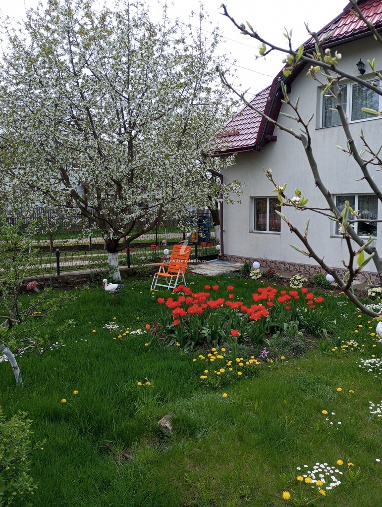 Căsuța Bunicilor