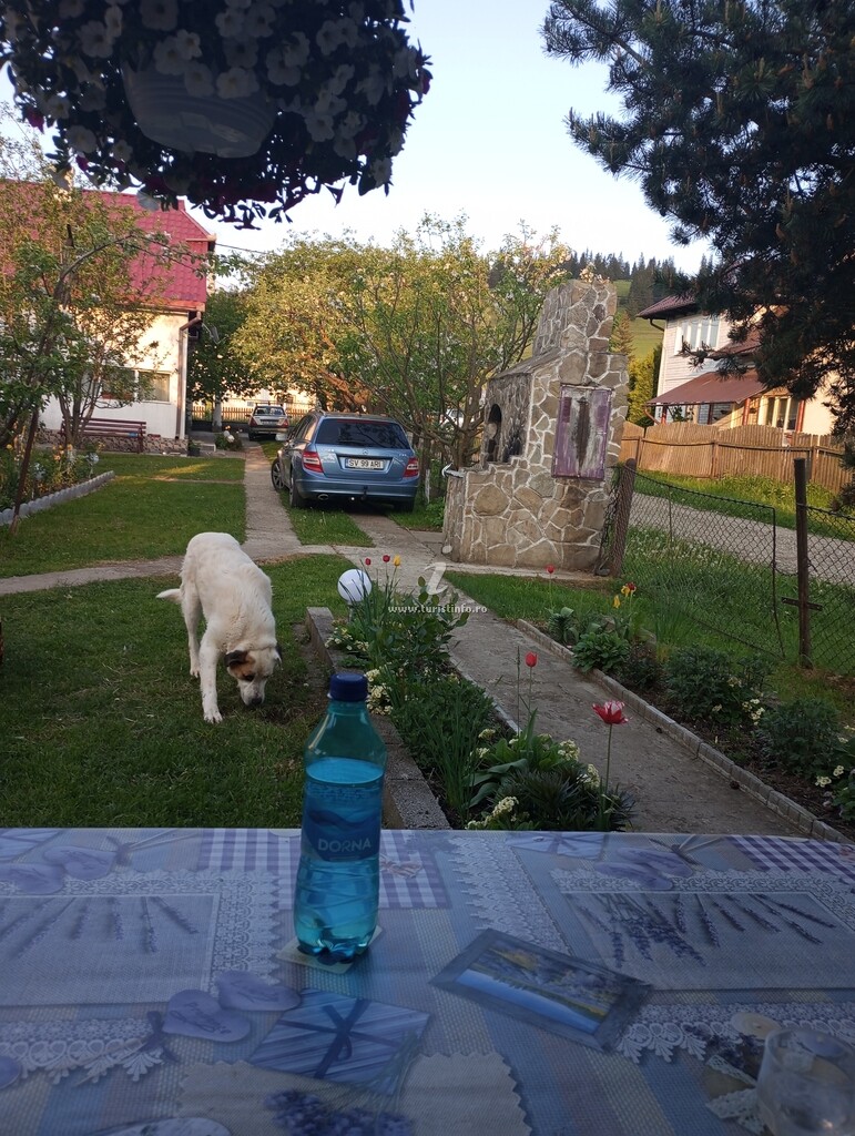 Căsuța Bunicilor