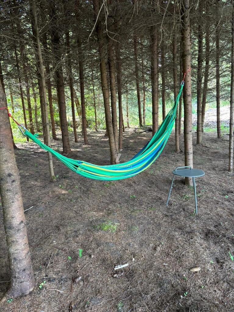 Cabana Mestecăniș