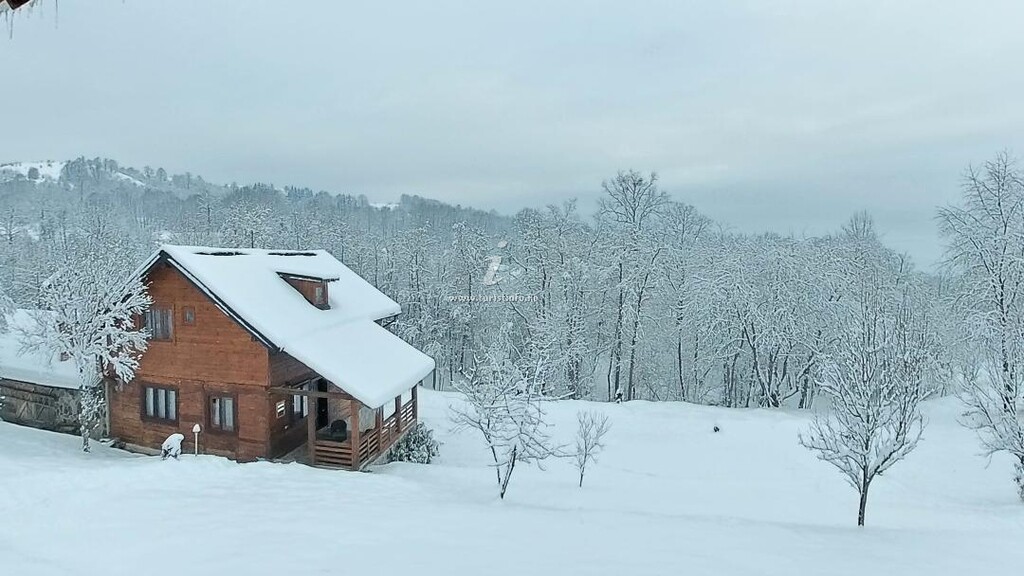 Cabana Codrii Maramureșului