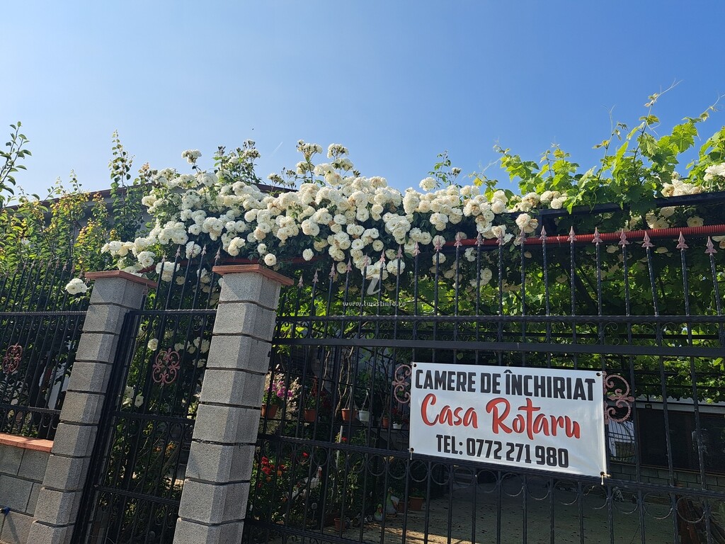 Casa Rotaru