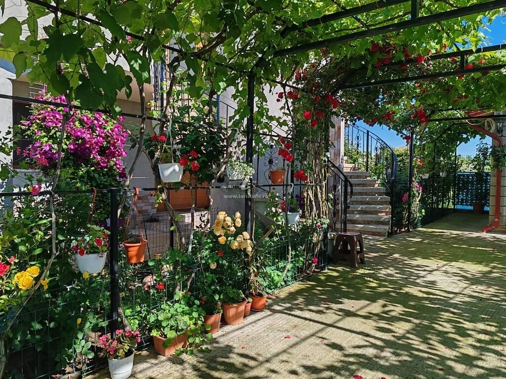 Casa Rotaru
