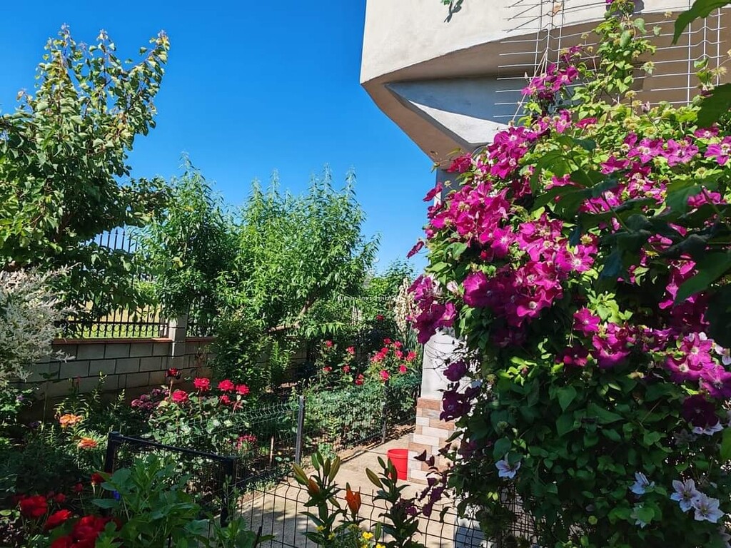 Casa Rotaru