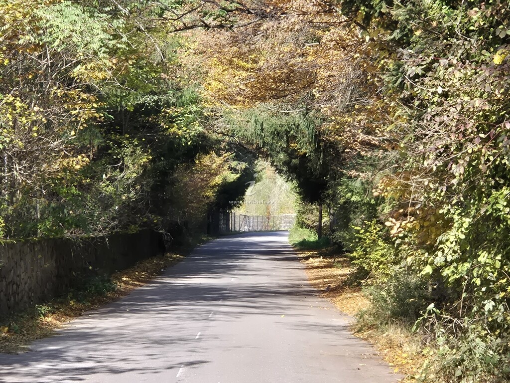 Cabana Doina
