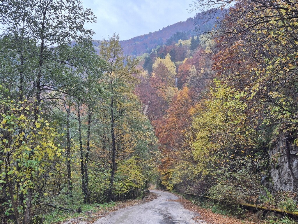 Cabana Doina