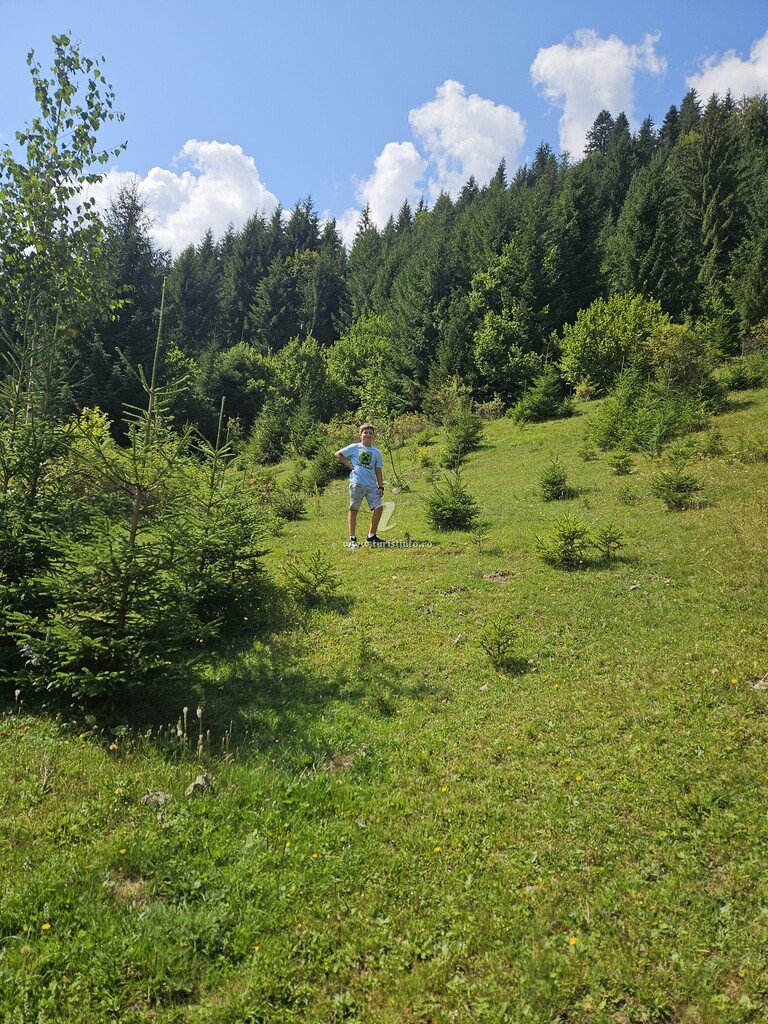 Camere de închiriat La Rozica
