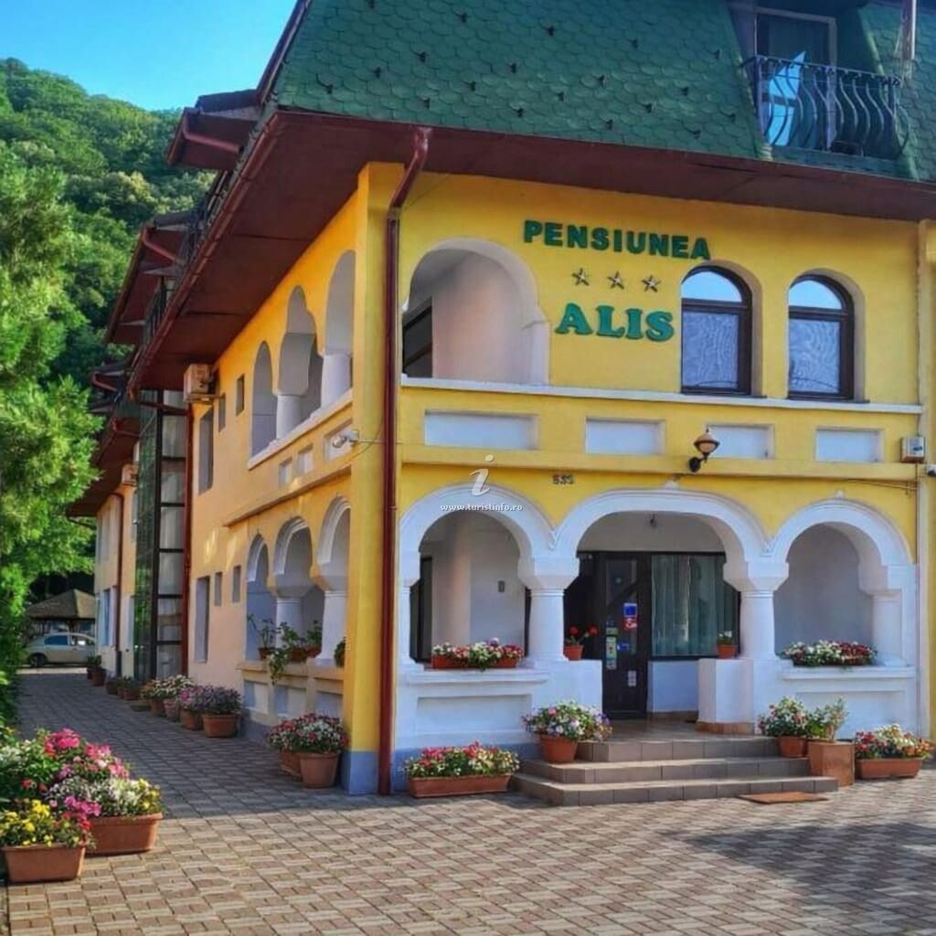Pensiunea Alis