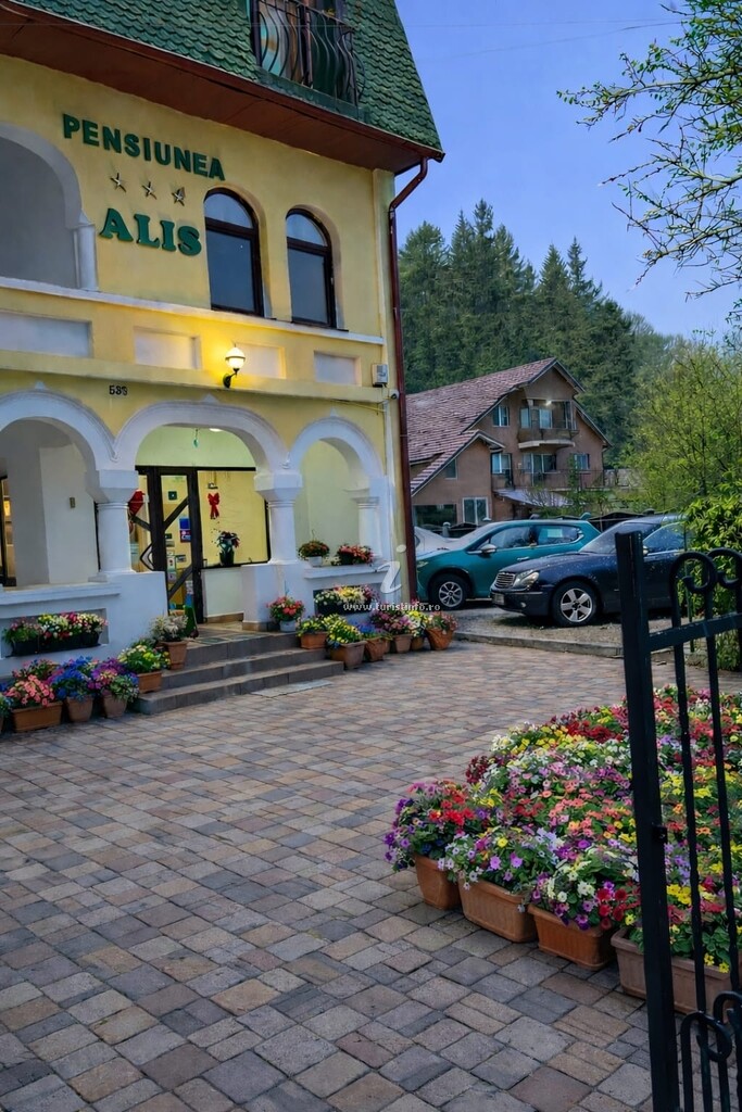 Pensiunea Alis