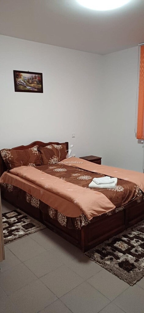 Cabana Doi Frați