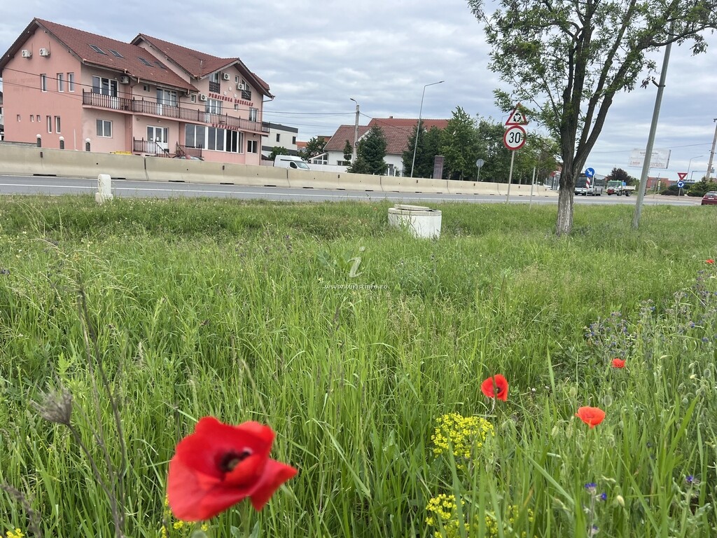 Pensiunea Rozeclas