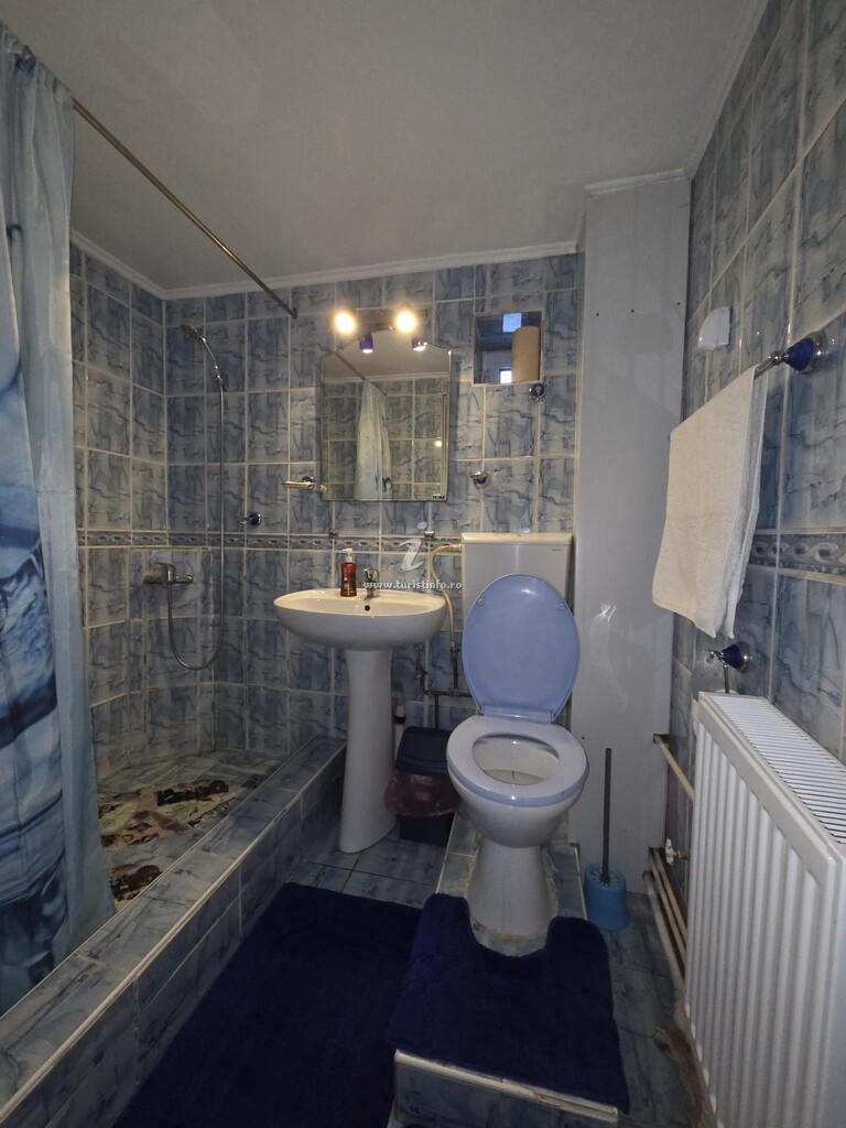 Cabana Neluțu