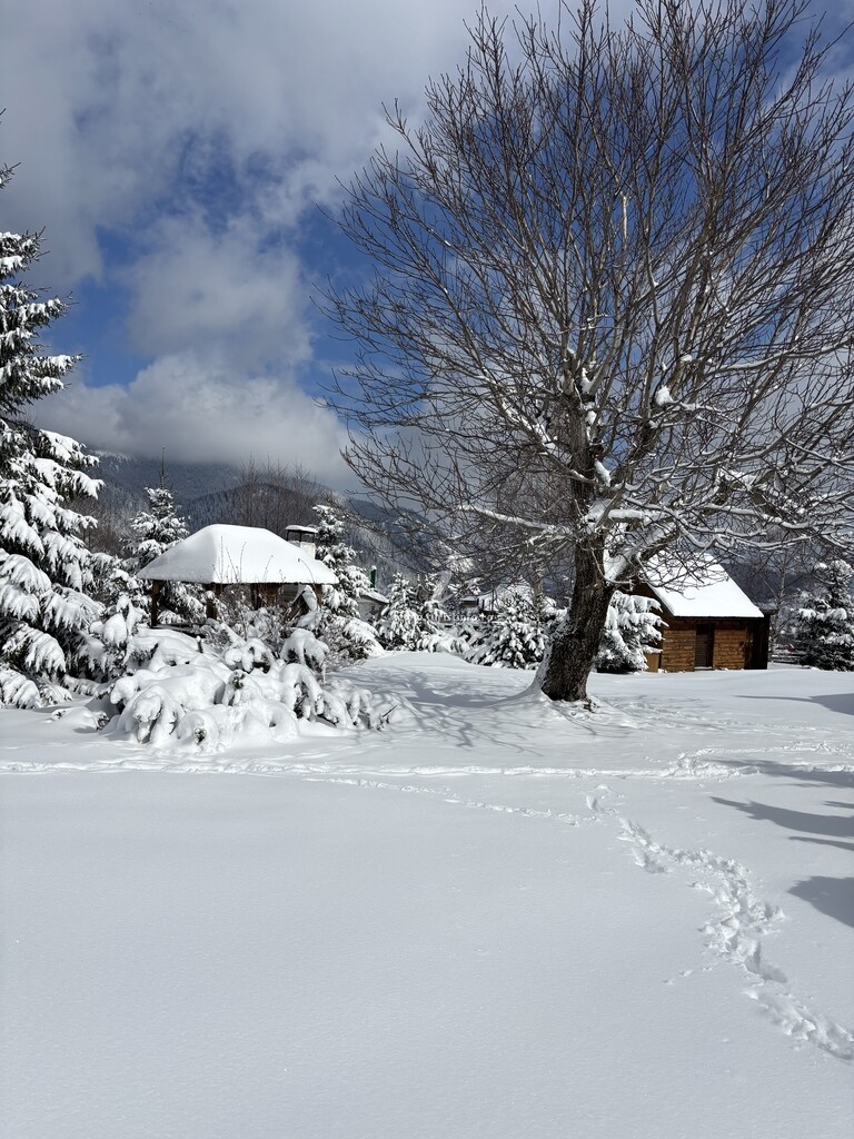 Chalet Ro