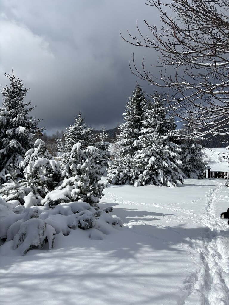 Chalet Ro