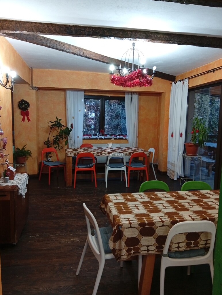 Vila Vintage House