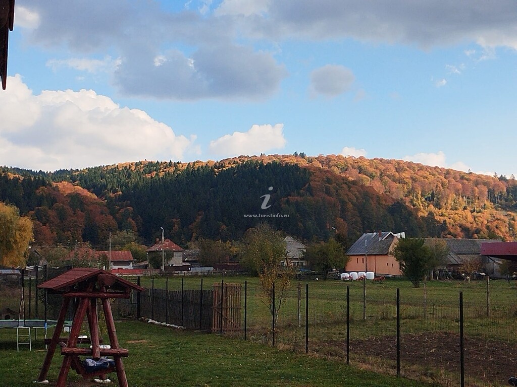 Casa de vacanță Casa Brănescu