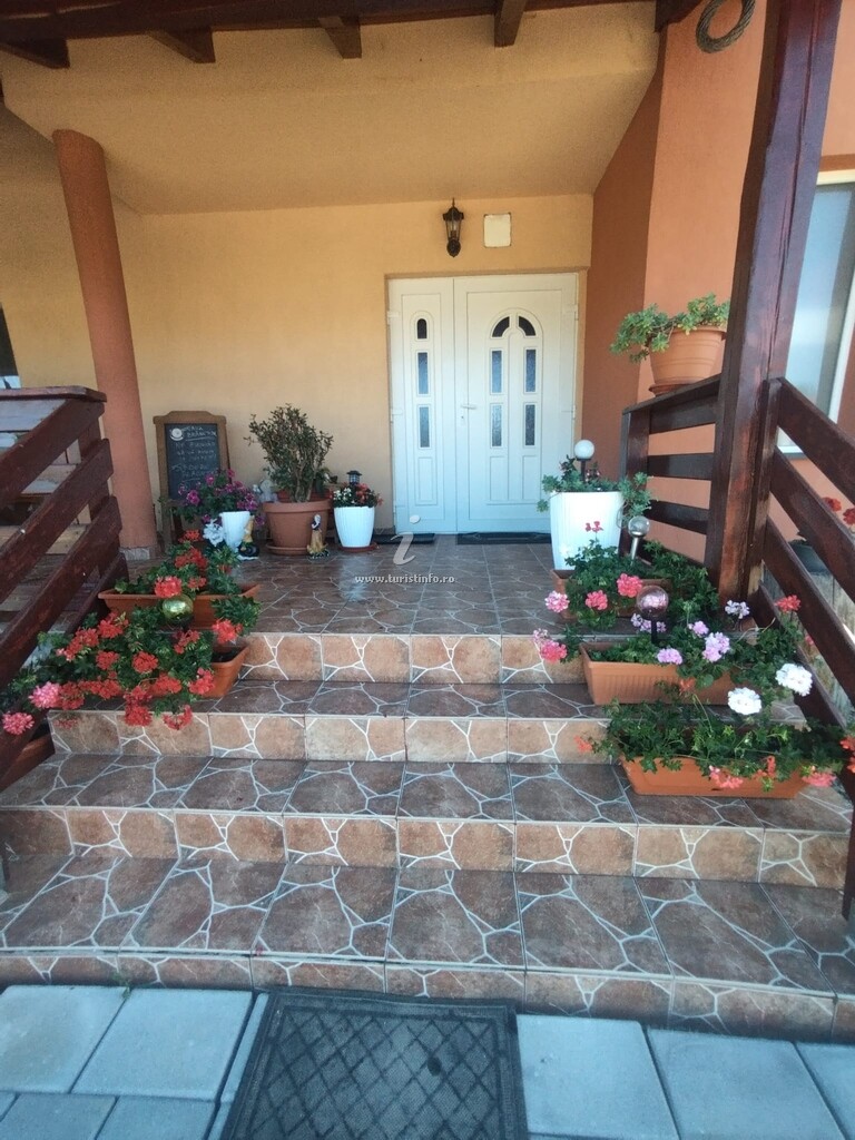 Casa de vacanță Casa Brănescu