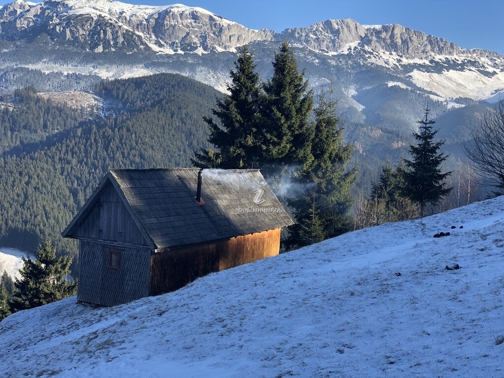 Casa din Munți
