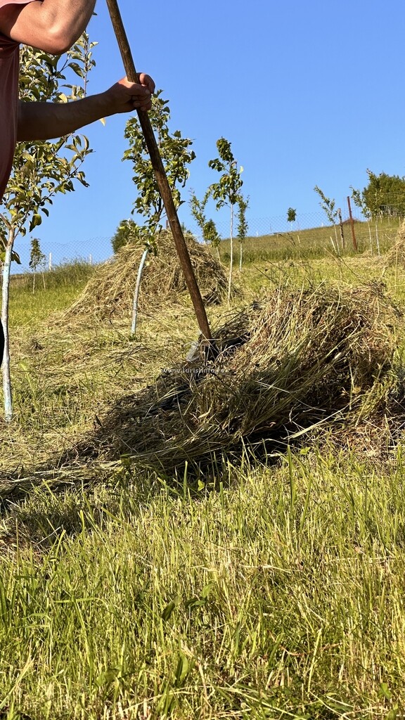 Pensiunea Agroturistică Suciu