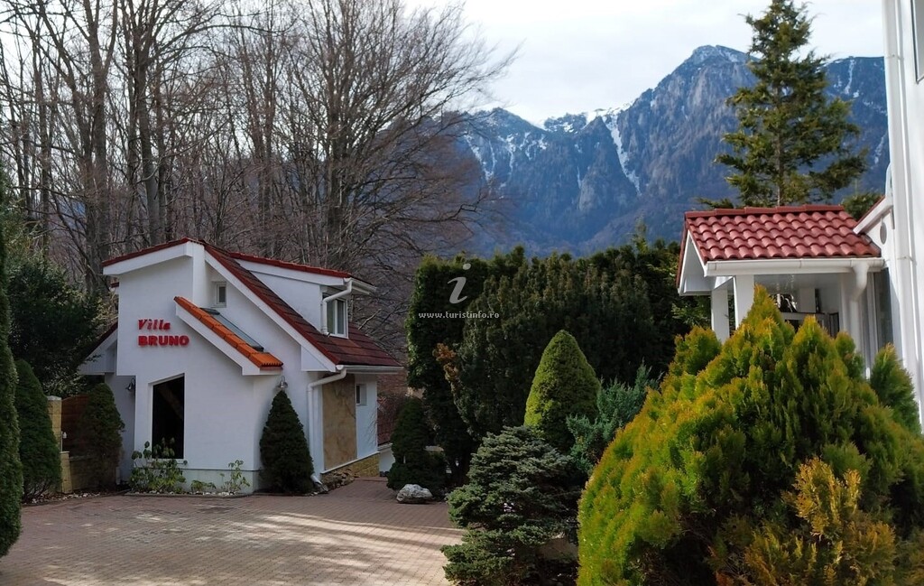 Vilele Forest Retreat