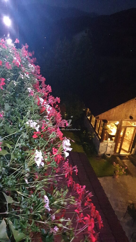 Vila Alberto