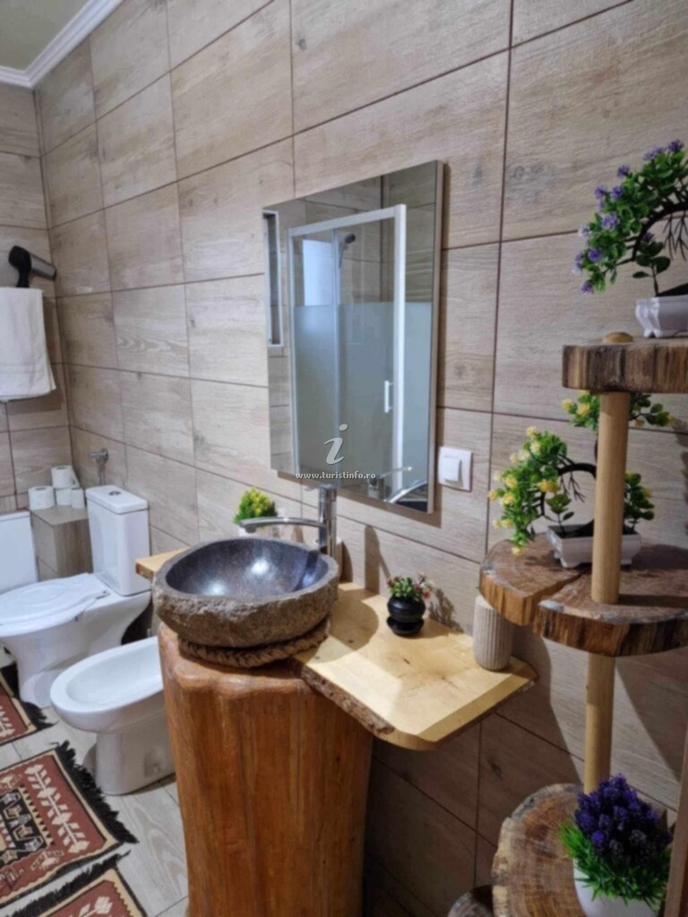 Casa de vacanță Casa Gemenelor