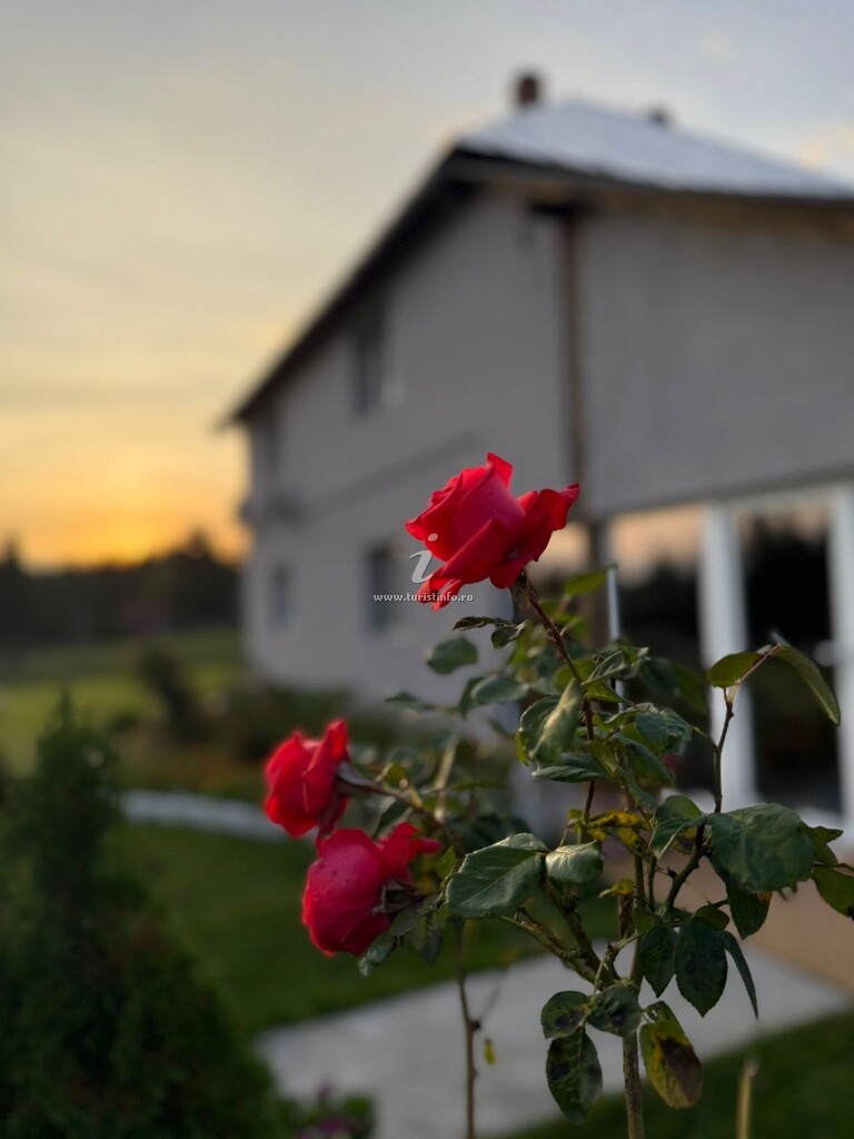 Casa de vacanță Casa Gemenelor