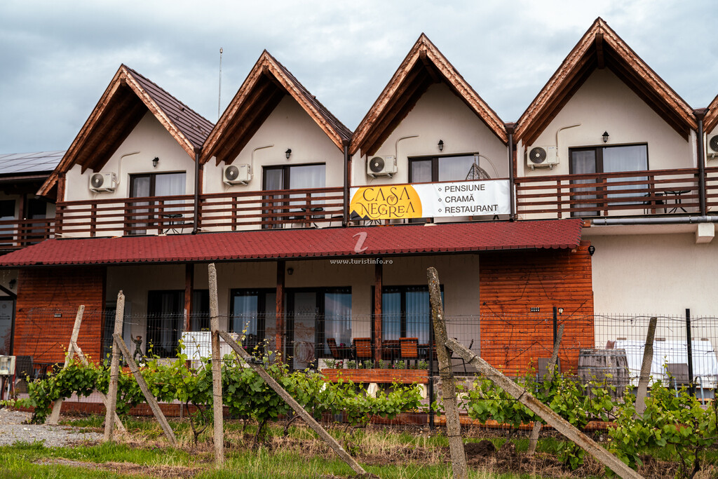 Pensiunea Casa Negrea