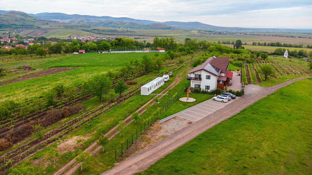 Pensiunea Casa Negrea