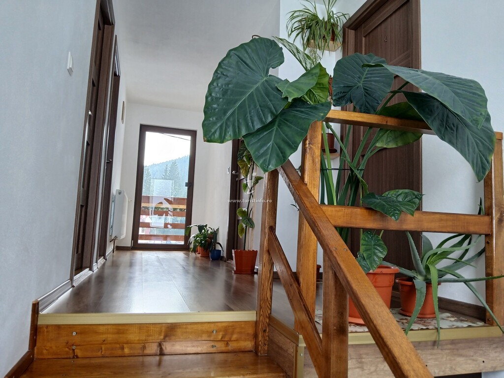 Casa Ianis