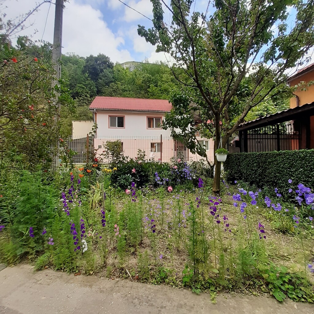 Casa Iza