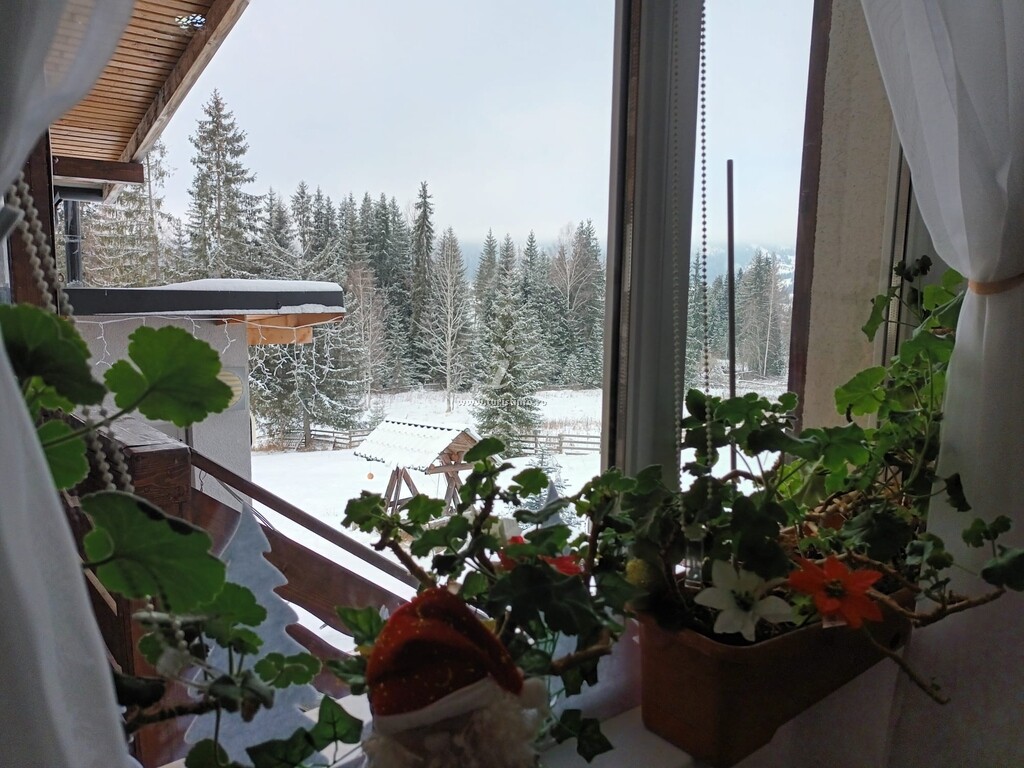 Cabana Ski Calimani