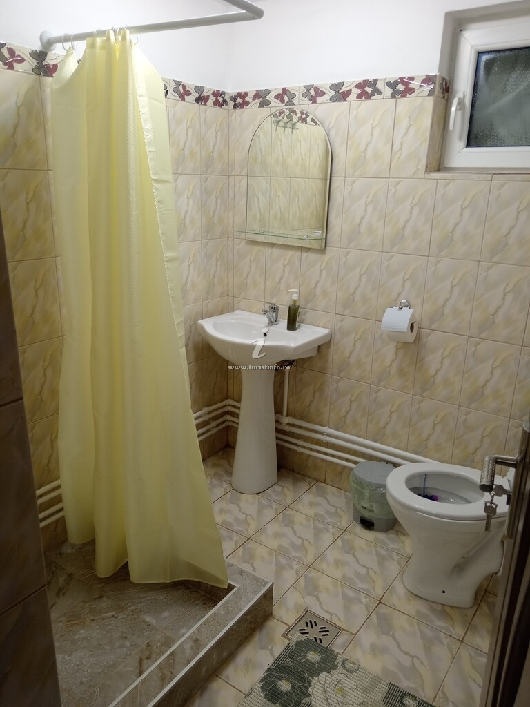 Cabana Umbra Brazilor
