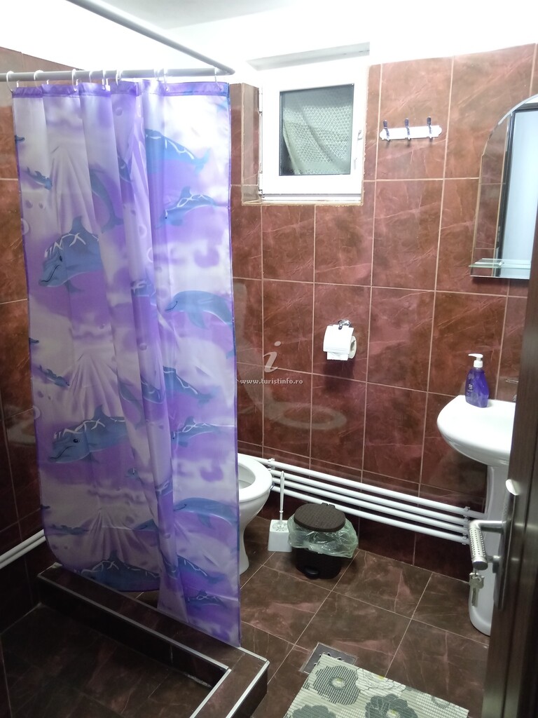 Cabana Umbra Brazilor