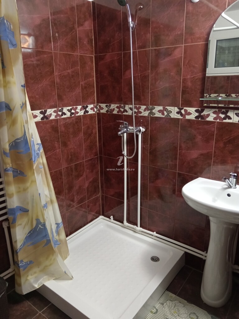 Cabana Umbra Brazilor