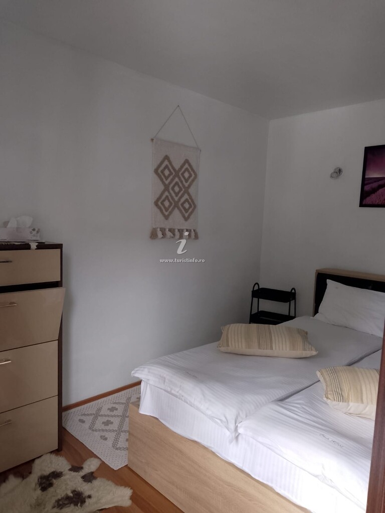 Camere de închiriat Casa Albert