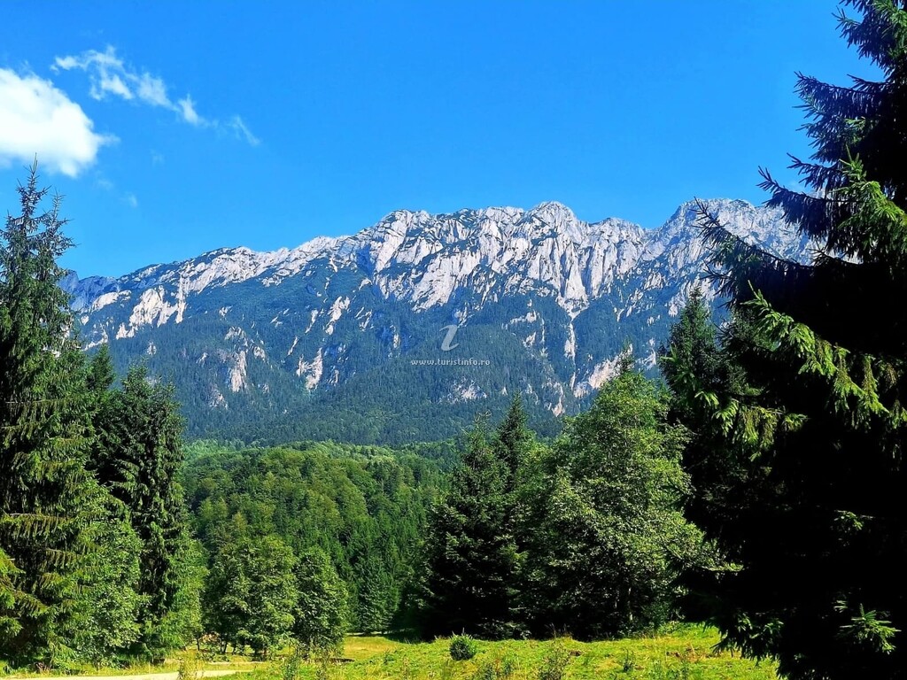Casa Edelweiss Ilinca