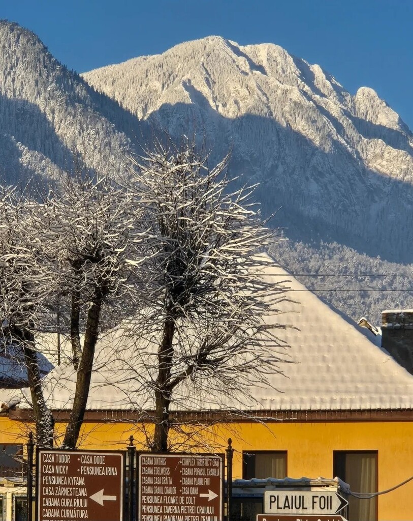 Casa Edelweiss Ilinca