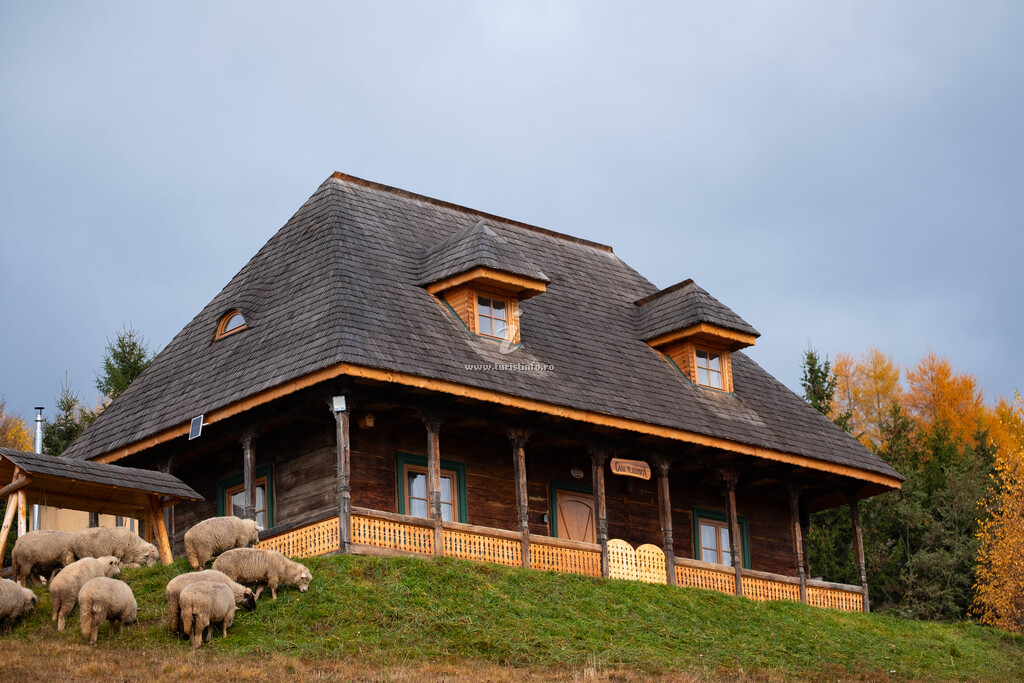 Casa Vlăduşca