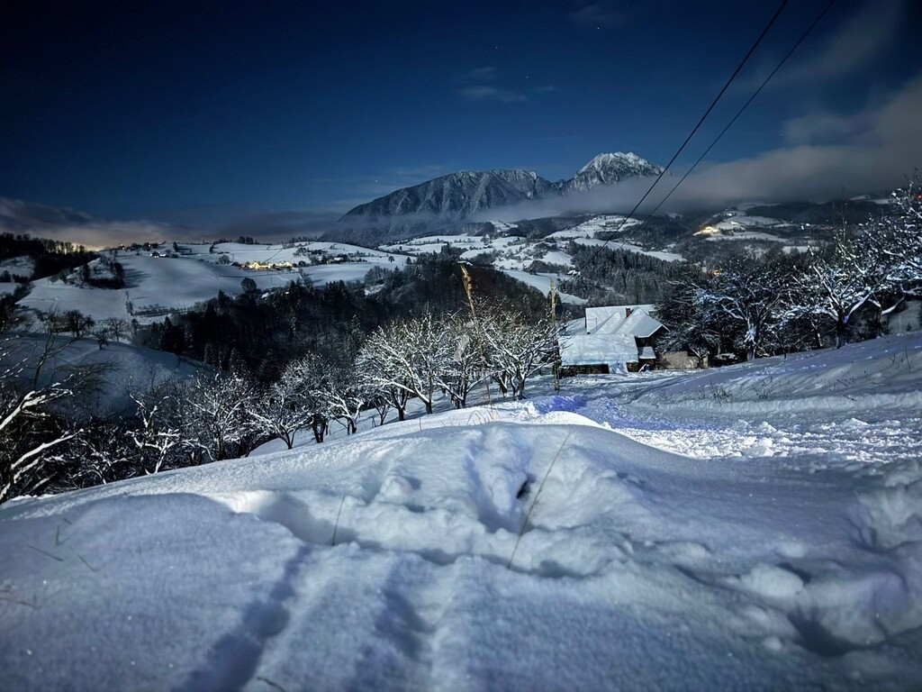 Casa din Livadă