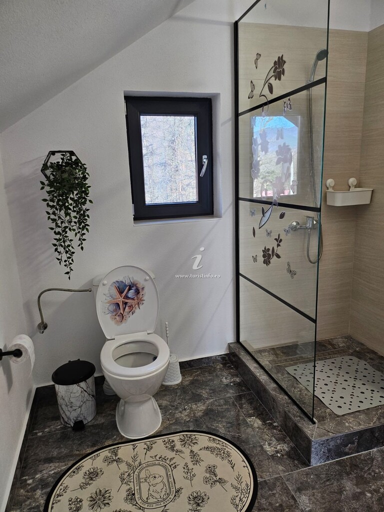 Cabana Hanul Nou