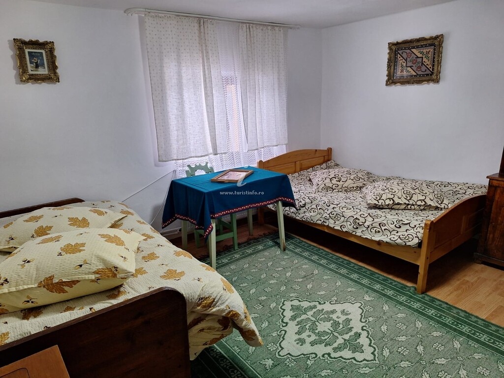 Casa de vacanță Nelu