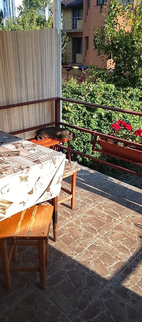 Casa Tudor